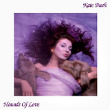 The Hounds Of Love by Kate Bush